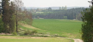 Okolní krajina - penzion, Bačátka, Velké Meziříčí, ubytování, cykloturistika, turistika